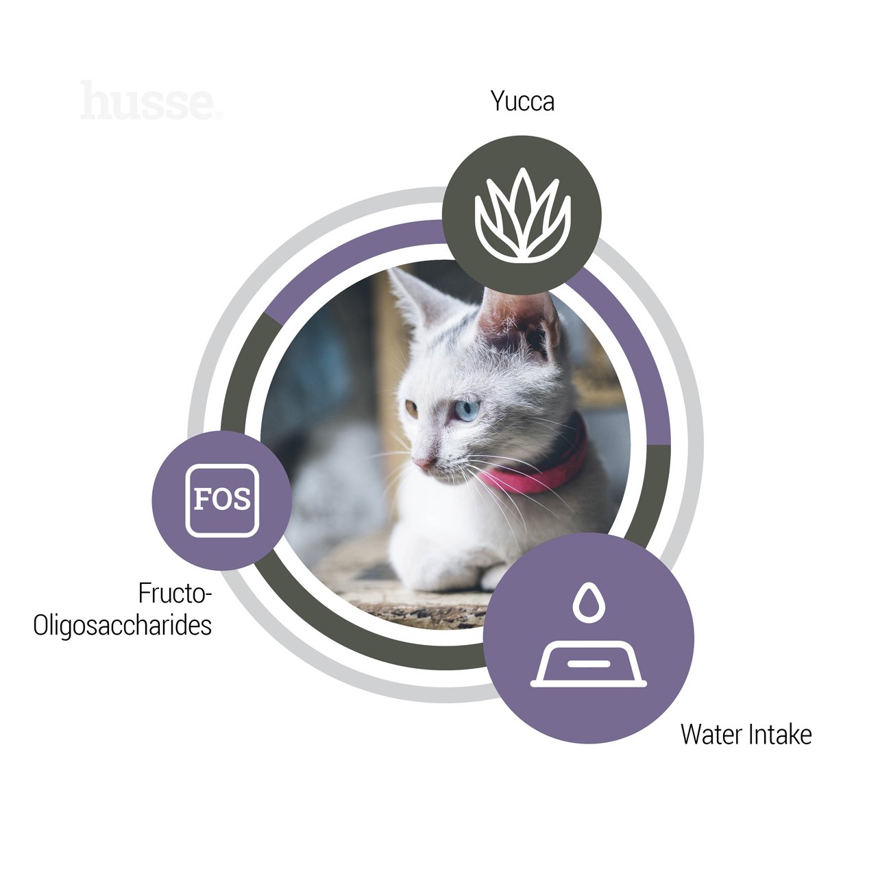 Exclusive Urinary | Komplett ernæring som bidrar til å opprettholde god urinhelse