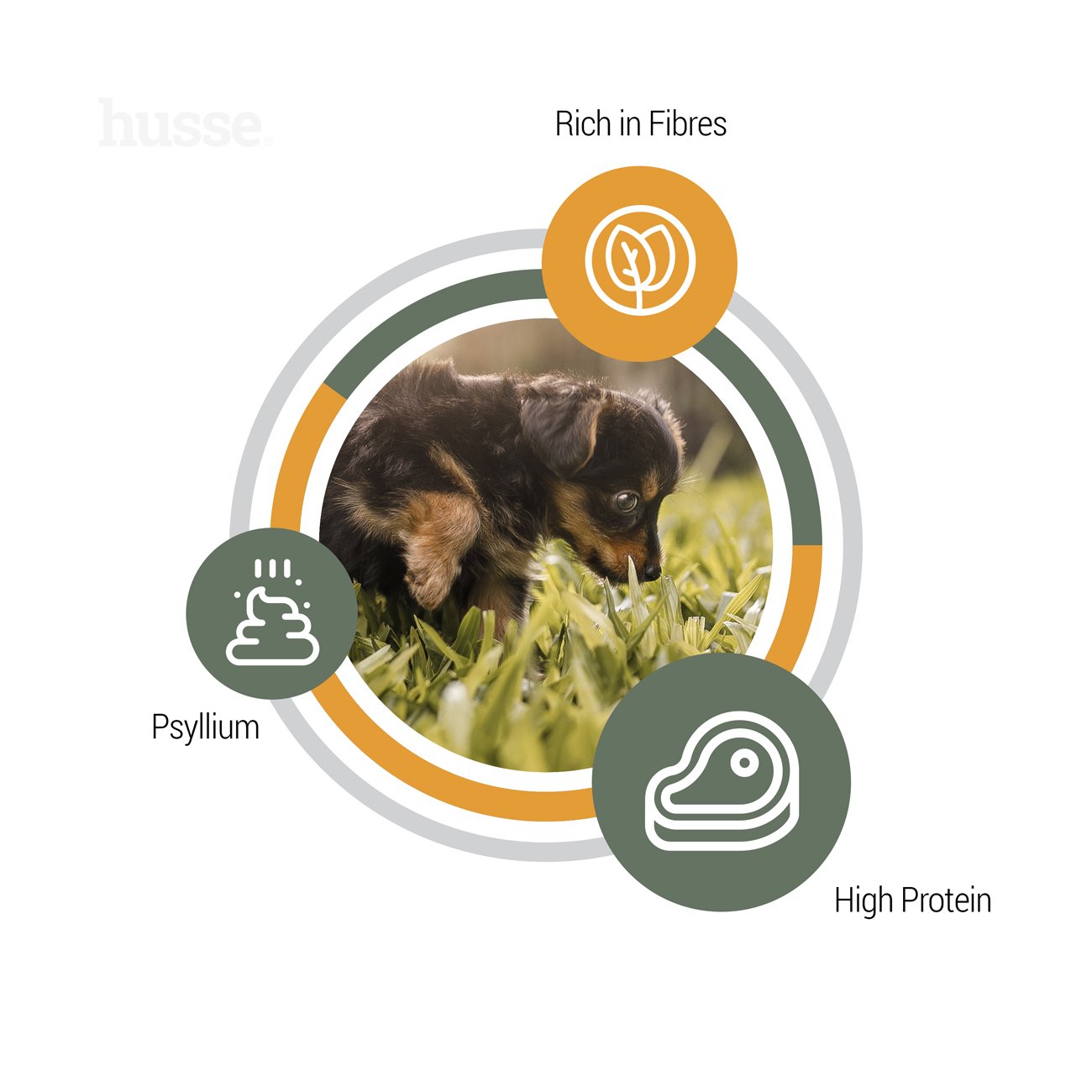 Valp Plus | Komplett ernæring med psyllium og vegetabilske fibre for jevn fordøyelse