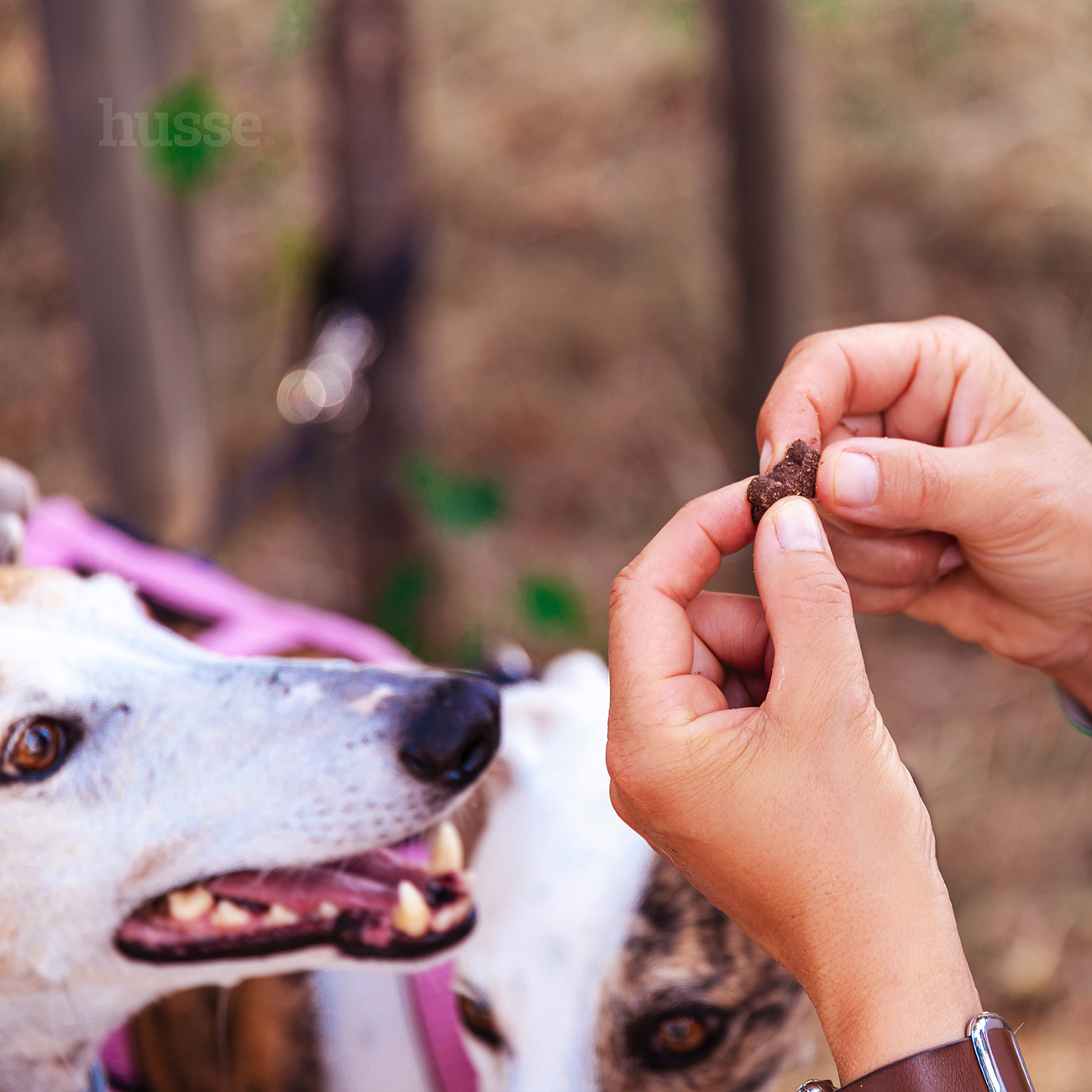 Bravo L | Glutenfri snacks med lam