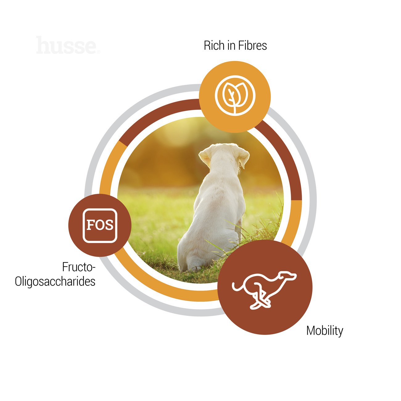 Valp Maxi | Balansert ernæring for valper og mødre av store raser