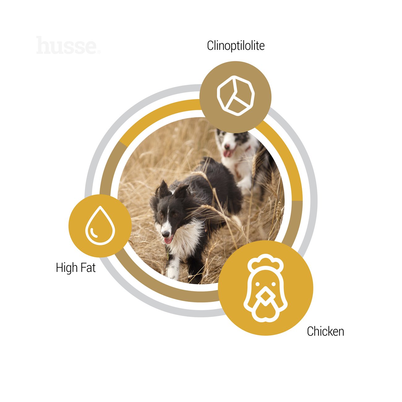 Opus Farm | Kornfri ernæring for aktive hunder