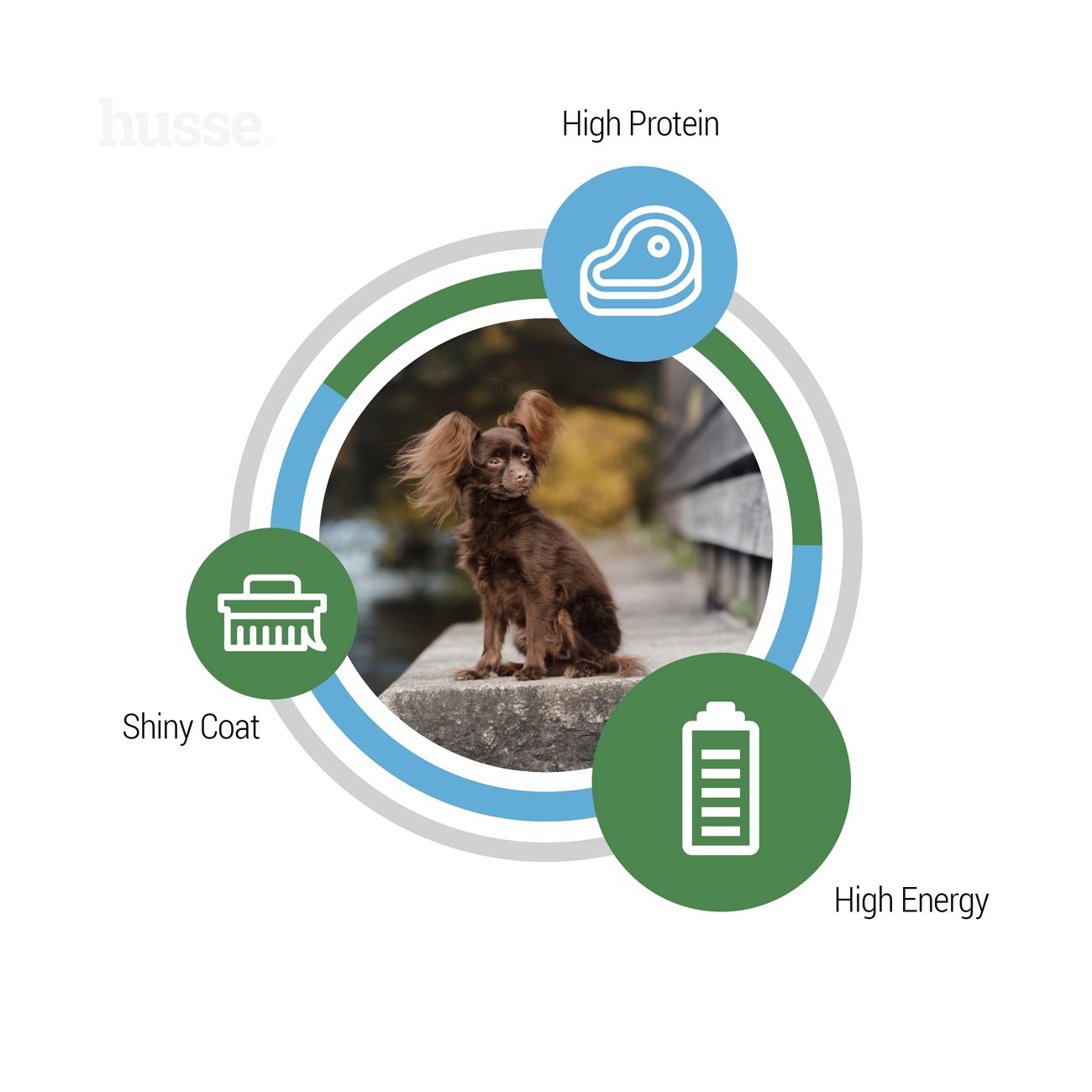 Optimal Mini | Komplett ernæring for aktive hunder av små raser