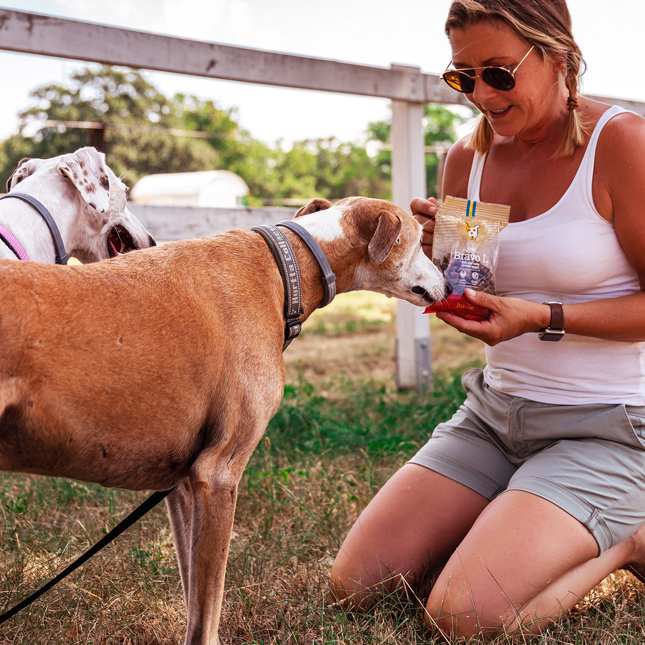 Bravo L | Glutenfri snacks med lam