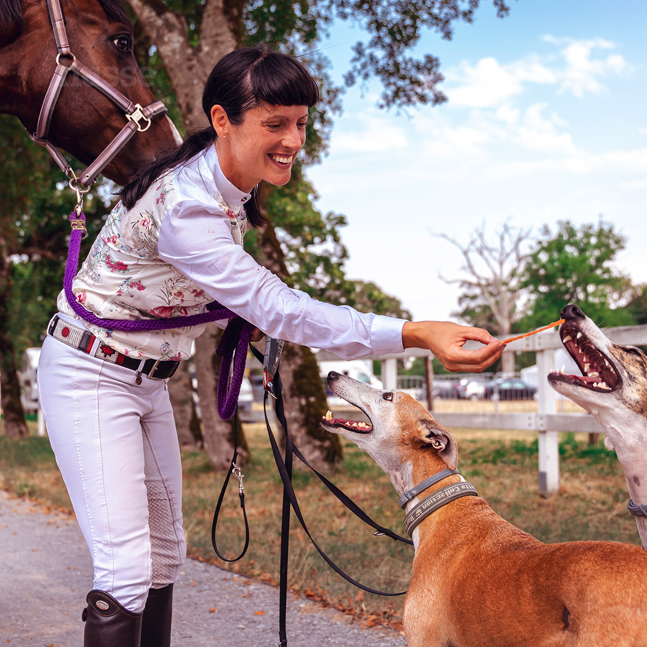 Kycklingfilé | Saftige og kornfrie godbiter