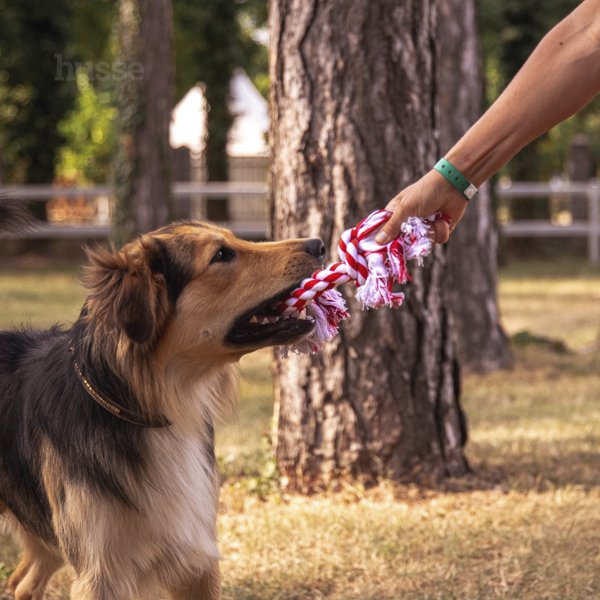 Rep Stor | Klassisk tauleke