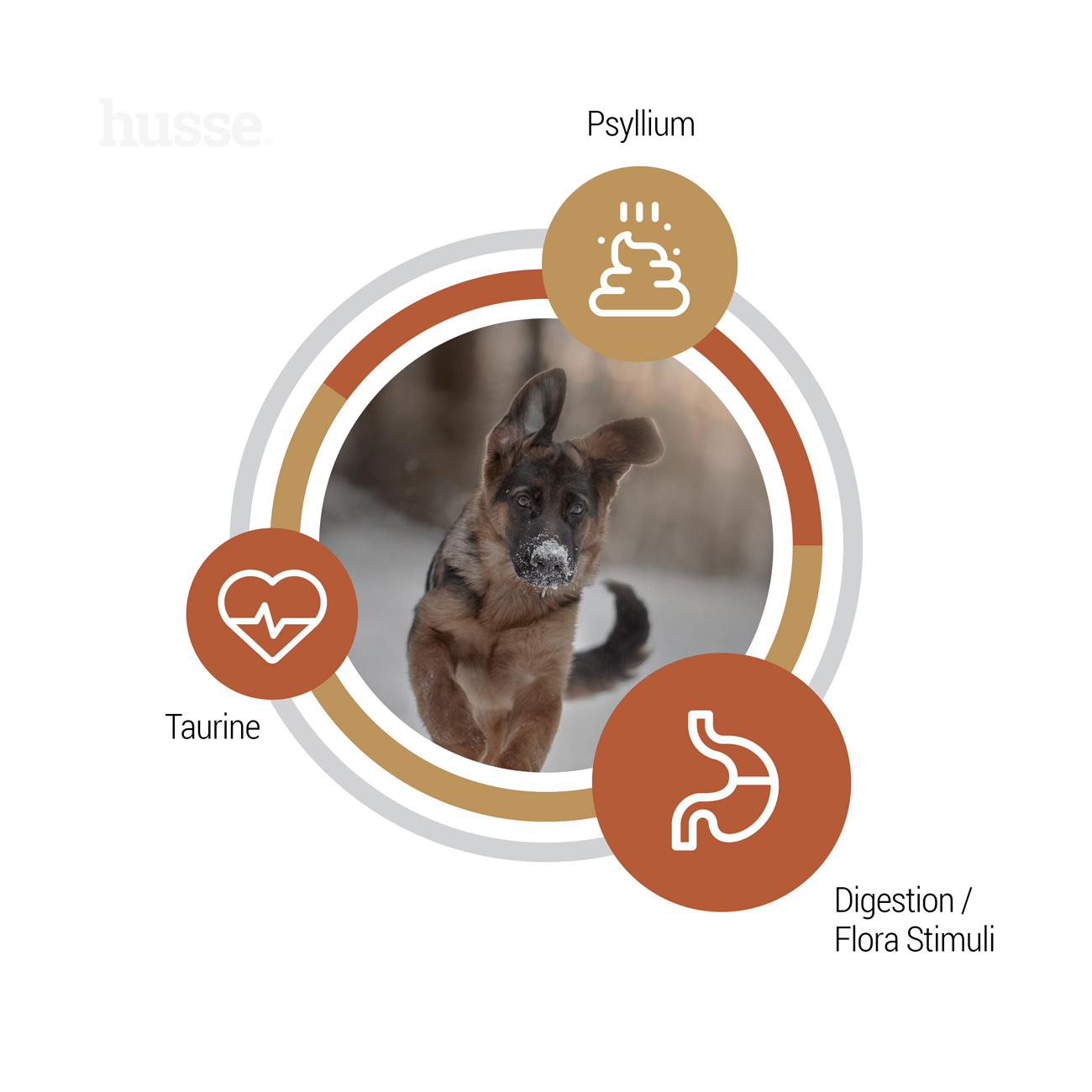 Valp Farm | Kornfritt og næringsrikt valpefôr