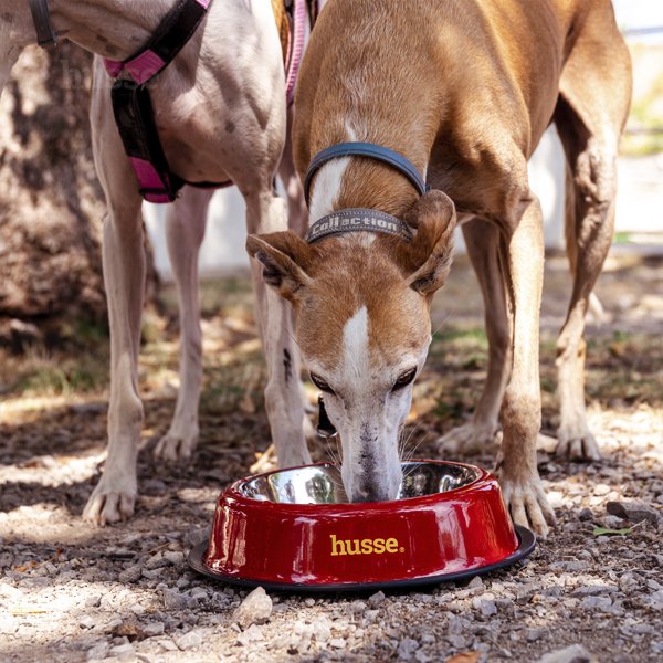 Skål | Slitesterk kjæledyrskål i rustfritt stål