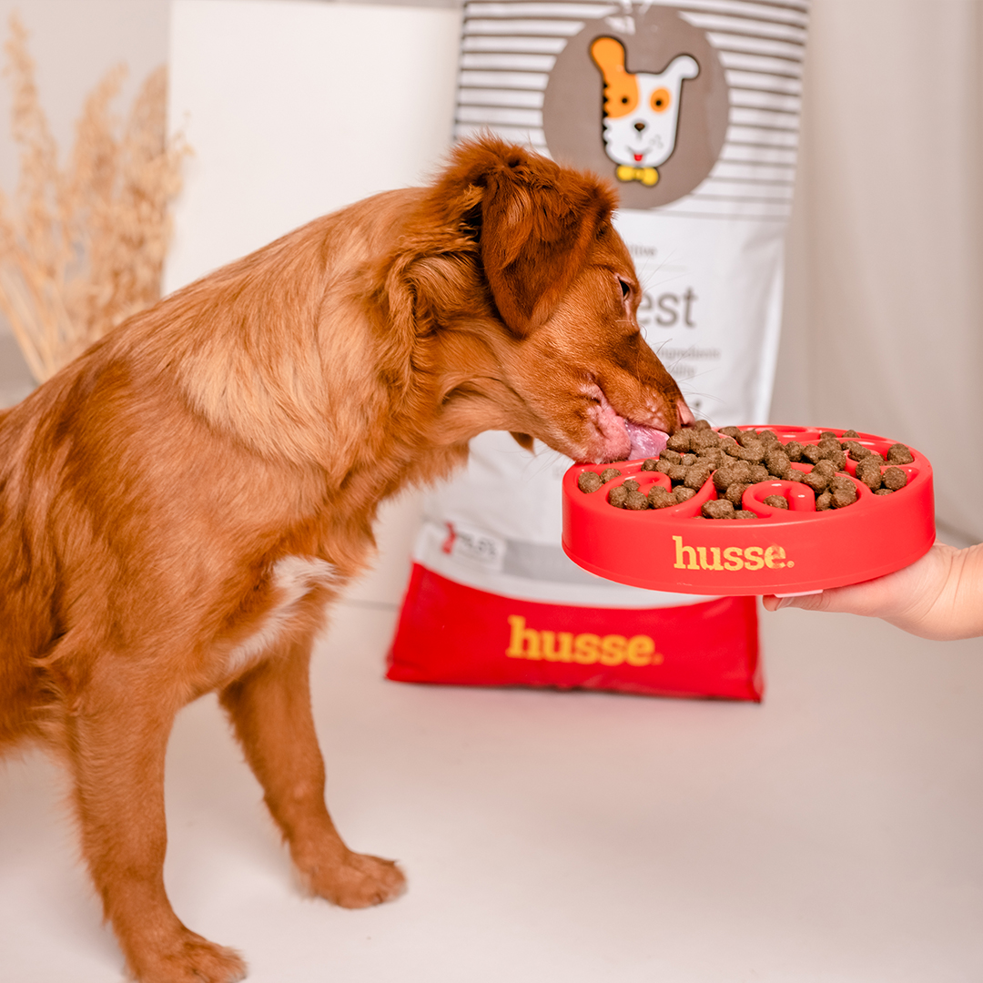 Sensitive Digest | Hypoallergenisk og glutenfri