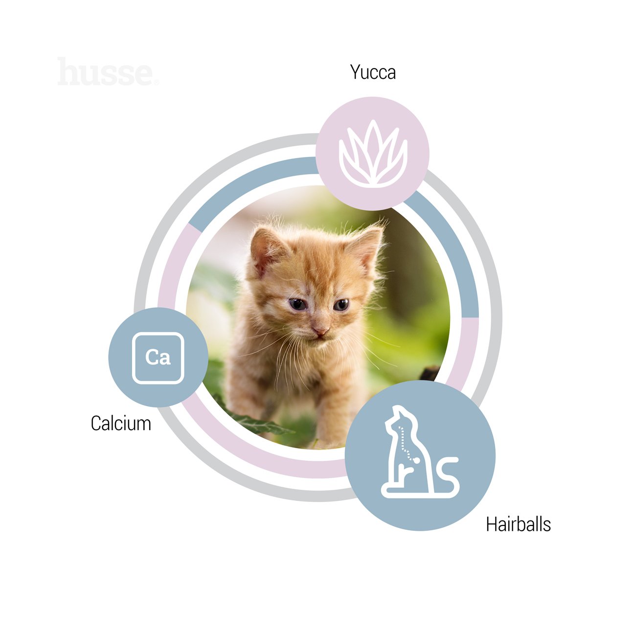 Exclusive Kattunge | Komplett ernæring spesielt utviklet for kattunger