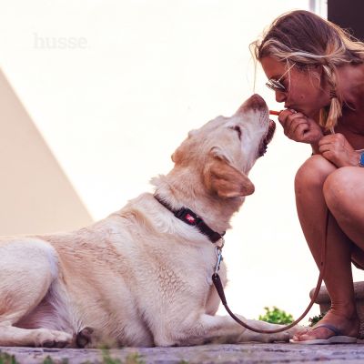 Kycklingfilé | Saftige og kornfrie godbiter