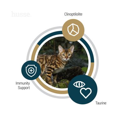 Lynx Senior | Kornfritt fôr til eldre katter med sensitiv hud og fordøyelse