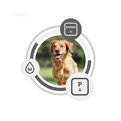 Diet Kidney, Heart & Liver 7 kg | Veterinærformel for å støtte nyrer, hjerte og lever