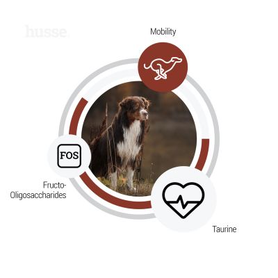 Sensitive Digest Giant | Hypoallergenisk og glutenfri