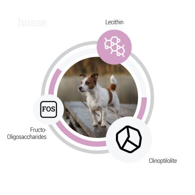 Sensitive Ocean Care Mini | Glutenfri oppskrift med én enkelt animalsk proteinkilde