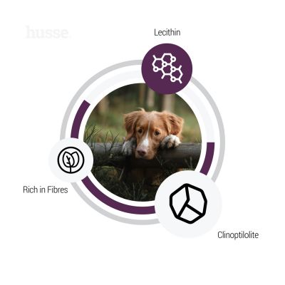 Sensitive Light | Glutenfri tørrfôr med moderat energiinnhold for optimal vektkontroll