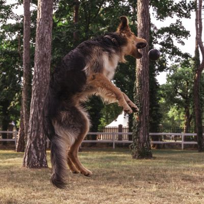 Ball | Sprettende gummiball