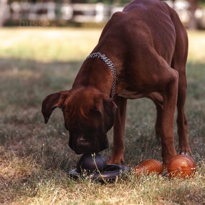 Kjegle | Leketøy laget av naturgummi