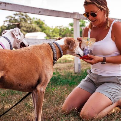 Bravo L | Glutenfri snacks med lam