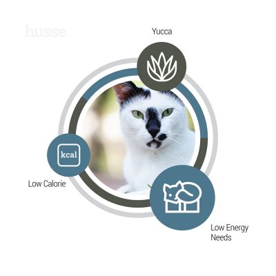 Exclusive Light | Tørrfôr utviklet for å opprettholde en sunn vekt