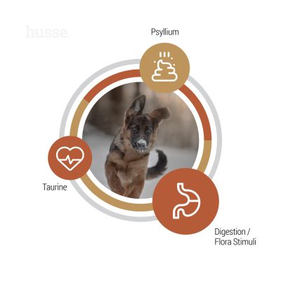 Valp Farm | Kornfritt og næringsrikt valpefôr