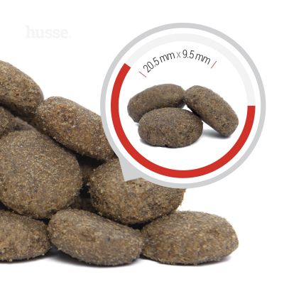 Pro Giant | Komplett ernæring for gigantiske raser