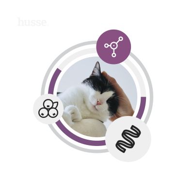 Fresh Sterilised | Kornfri ernæring rik på fersk kylling