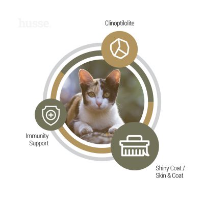 Opus Lynx | Kornfritt fôr til katter med sensitiv hud og fordøyelse