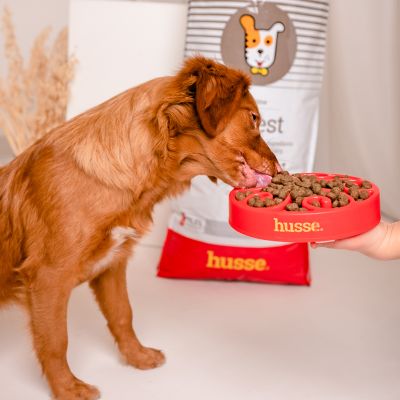 Sensitive Digest | Hypoallergenisk og glutenfri