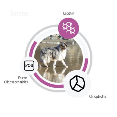 Sensitive Ocean Care | Glutenfri oppskrift med én enkelt animalsk proteinkilde